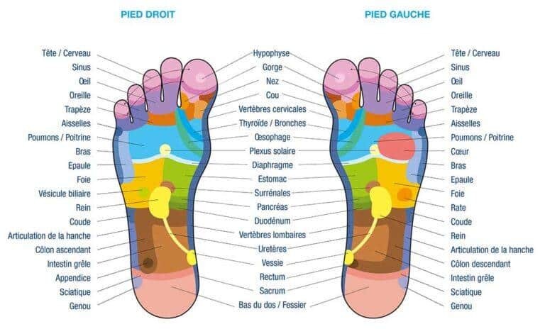 La carte des pieds